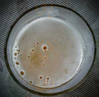 Hangar 24 Craft Brewing