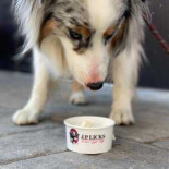 J.P. Licks