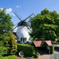 Die Windmühle