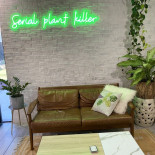 Cafe Mollie
