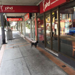 PHD Vietnamese Restaurant