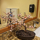 Tepanyaki Japanese Steakhouse